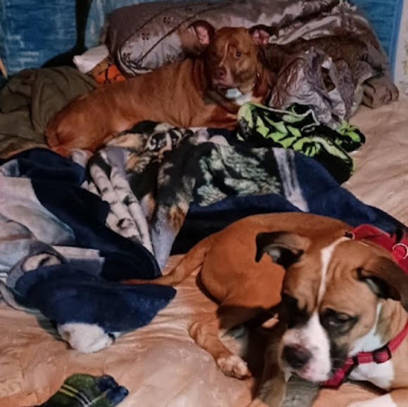 Profile Picture of Mike Henley (@mhenley106) on Poshmark