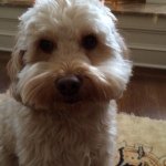 Profile Picture of Joe Celentano (@fundad242) on Instagram