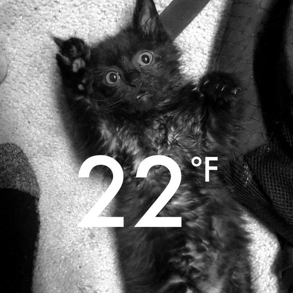 Profile Picture of Ashley Pasqualone (@purple565) on Poshmark