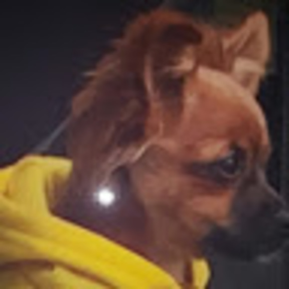 Profile Picture of Michael Abel (@mickeide153) on Poshmark