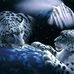 Profile Picture of Michel Gerritsen (@michel.gerritsen.378) on Facebook