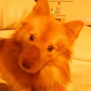 Profile Picture of Ashley Lockwood (@deepdarkndevastating) on Myspace