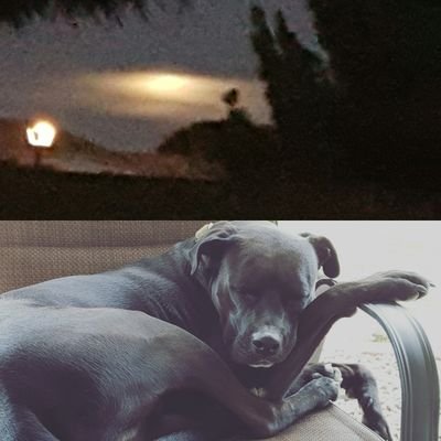 Profile Picture of Deborah S Card (@Card2S) on Twitter