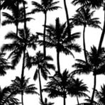 Profile Picture of Rusty Kimberlee Robinson (@Rusty-Kimberlee-Robinson) on Facebook