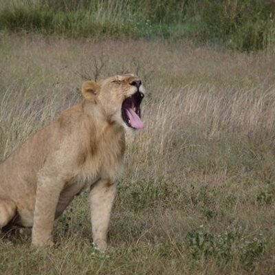 Profile Picture of Richard Kelliher (@rdkell) on Twitter