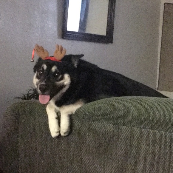 Profile Picture of Dee Ramos (@dare_0) on Poshmark