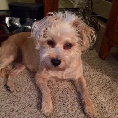 Profile Picture of Patrick McGoff (@mcgoffpatrick1) on Twitter