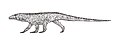 Profile Picture of Tarjadiaon Wikipedia