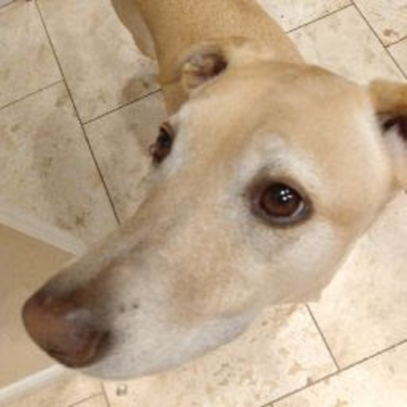 Profile Picture of Truxton Tayloe (@ttayloe06) on Poshmark