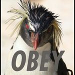 Profile Picture of Kristopher Neidecker (@kris_neidecker) on Instagram