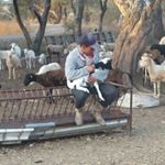 Profile Picture of Gilberto Campos (@gilbert_campos2) on Instagram