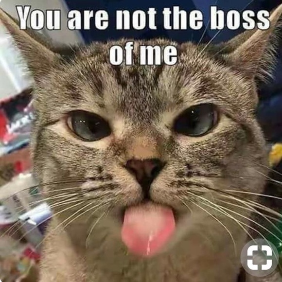 Profile Picture of Cindy Schneider (@angelmtn1) on Poshmark