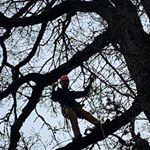 Profile Picture of Andrew Glynn (@andrewglynn0813) on Instagram