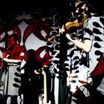 Profile Picture of Terry Kong (@terry1010) on Instagram