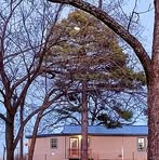 Profile Picture of Kylie McCrackenHoward (@kylie.mccracken.howard) on Facebook