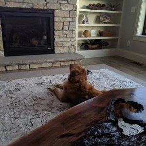 Profile Picture of Jeff Tornow (@JeffTornow) on Twitter