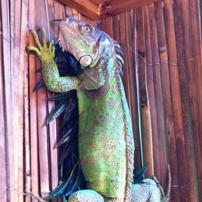 Profile Picture of Sean Burrell (@seanburrrell) on Twitter