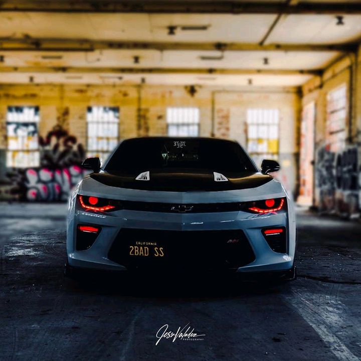 Profile Picture of Travis Green (@travisgreen13) on Tiktok