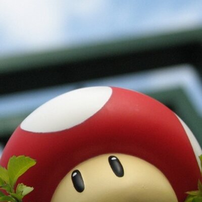 Profile Picture of Josh Bracken (@joshbracken) on Twitter