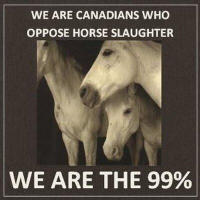 Profile Picture of Heather Foster (@all4feet) on Twitter