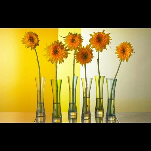 Profile Picture of David Marvin (@bebemarvin1981) on Poshmark