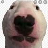 Profile Picture of Jesse is your dad (@@jessekennedy48) on Tiktok