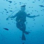 Profile Picture of Allison Reimann (@alliwini) on Instagram