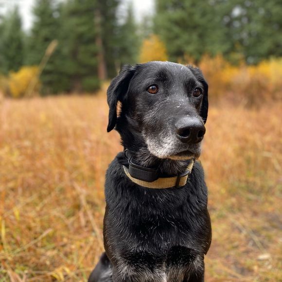 Profile Picture of Claire Thayer (@claire_thayer) on Poshmark