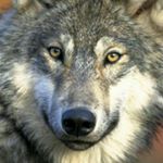 Profile Picture of Stacy bedwell (@stacydmbedwell13) on Instagram