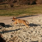 Profile Picture of Amanda Damian (@amanada.bliskowska) on Facebook