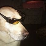Profile Picture of Bryan Cannon (@bryan.cannon.7) on Instagram