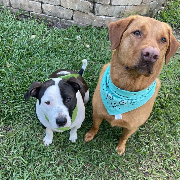 Profile Picture of Tanner Putz (@tannersoccer8) on Poshmark