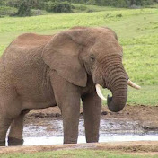 Profile Picture of Brian Vine (@brianvine7333) on Youtube