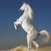 Profile Picture of Basil Alwan (@basil.alwan.75) on Facebook