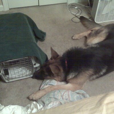 Profile Picture of Jeremy Shelby (@Surveilagent) on Twitter