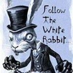 Profile Picture of Anthony Sustaita (@fattony142004) on Instagram