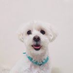 Profile Picture of 구름 (@kim_cloudc) on Instagram