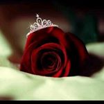 Profile Picture of samia (@samia_qureshi45) on Instagram