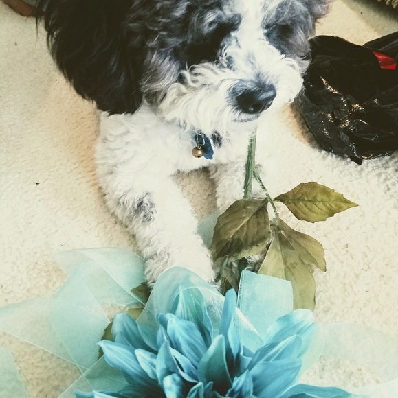 Profile Picture of Alex Dawson (@pinkyodieo) on Poshmark