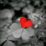 Profile Picture of Stamps & Stamps (@patbre18) on Instagram