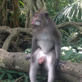 Profile Picture of Robert Lindberg (@thomas_eliot) on Instagram