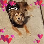 Profile Picture of Pamela Stroud (@LittlePamStroud) on Facebook