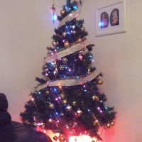 Carl Peralta - Quora Profile Picture of Carl Peralta (@carl-peralta) on Quora