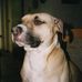 Profile Picture of Hugo Brehm (@hugo.brehm.1) on Facebook