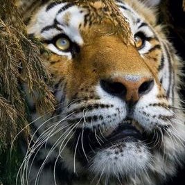 Profile Picture of Eber Martin (@EberMartin3) on Twitter