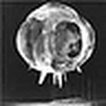 Profile Picture of Mauro Rey (@reymauro) on Flickr