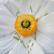 Profile Picture of Kate Harrison (@katelharrison) on Youtube