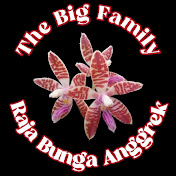 Profile Picture of Raja Bunga Anggrek (@rajabungaanggrek4090) on Youtube