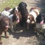 Profile Picture of Andrew Wickett (@andrewwickett) on Instagram