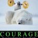 Profile Picture of Charlene Holmes (@kucounsel12) on Pinterest